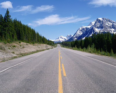 风景如画的荒芜高速公路 声屏障下的静谧与回响